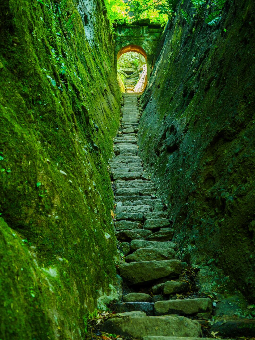 🌿人间绿洲武夷山，如果来千万别错过这里……