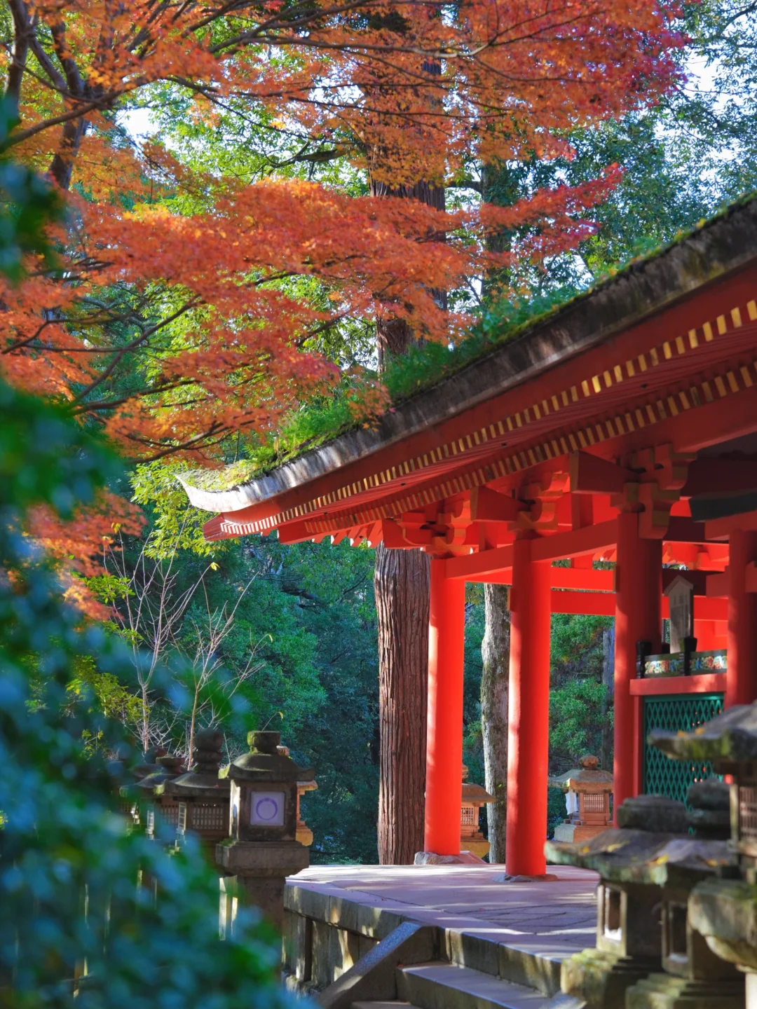 邂逅绚烂秋景🍂