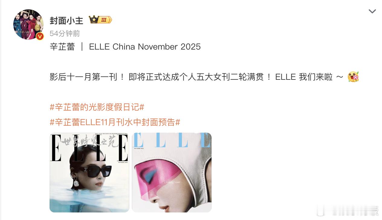 辛芷蕾即将正式达成五大女刊二轮满贯辛芷蕾 五大史上最快二轮满贯 ​ ELLE 十