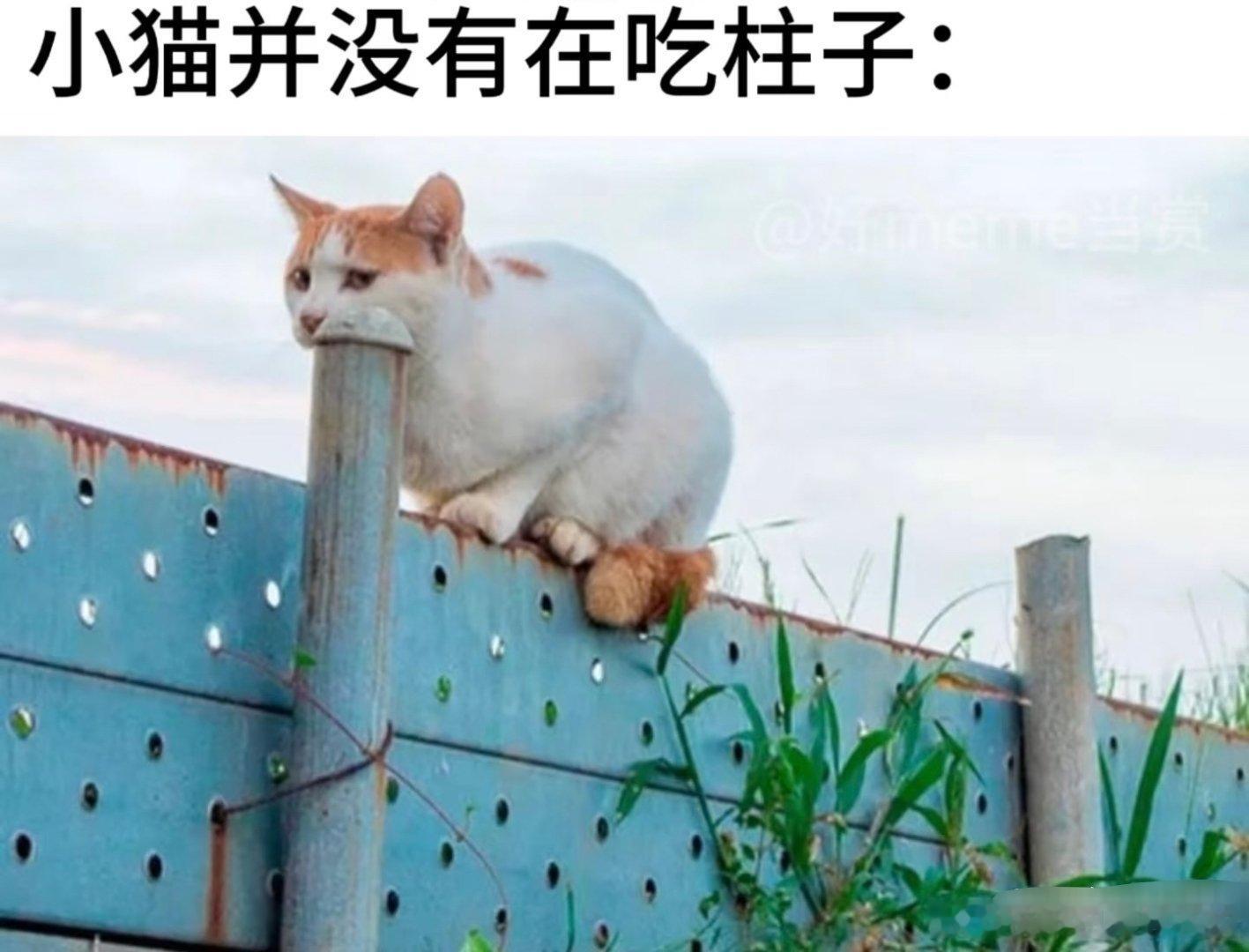 P2给我吓得心脏骤停了一下 ​​​