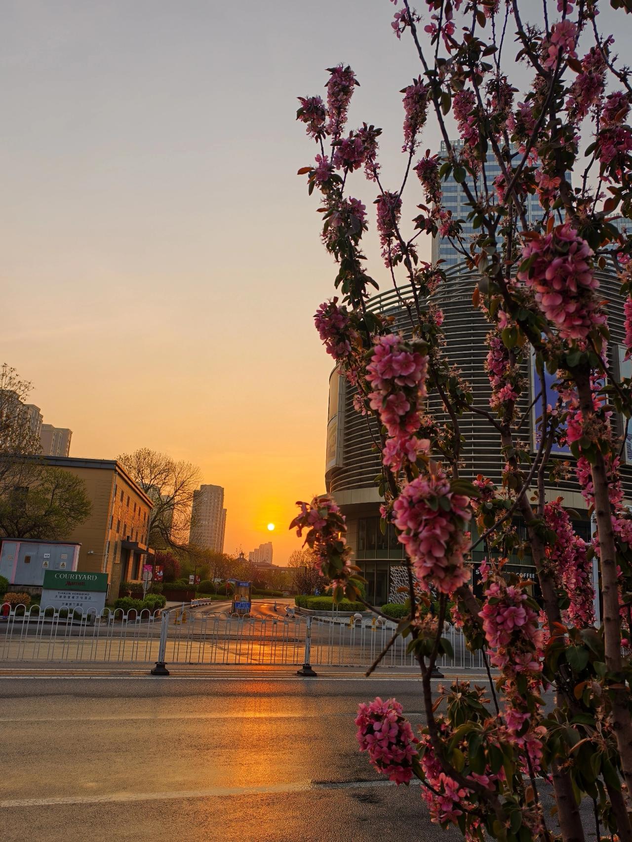 非常喜欢晨阳、晨曦和清晨宁静的街道，拍张照片与条友共享！