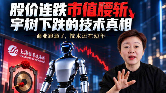 夸张的市盈率从来不反映现实业绩，只满足市场对未来的想象。与其追问想象力为什么塌了，不如问一下，具身智