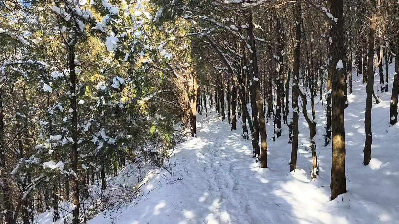 美国经济刚踩完油门就猛踩刹车，单季度增速直接砍半都不止，坏消息扎堆砸过来，看完真