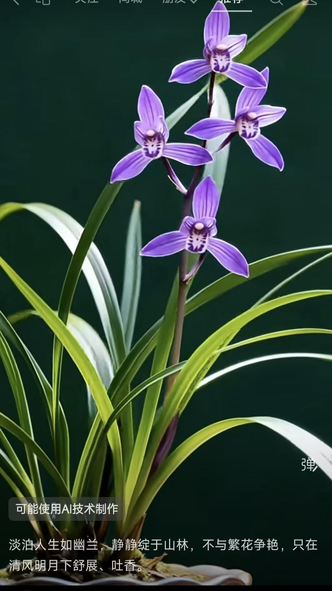 天净沙·淡泊人生
幽居深谷林泉，
孤芳不竞春妍，
静对清风月满。
心香淡淡，
一