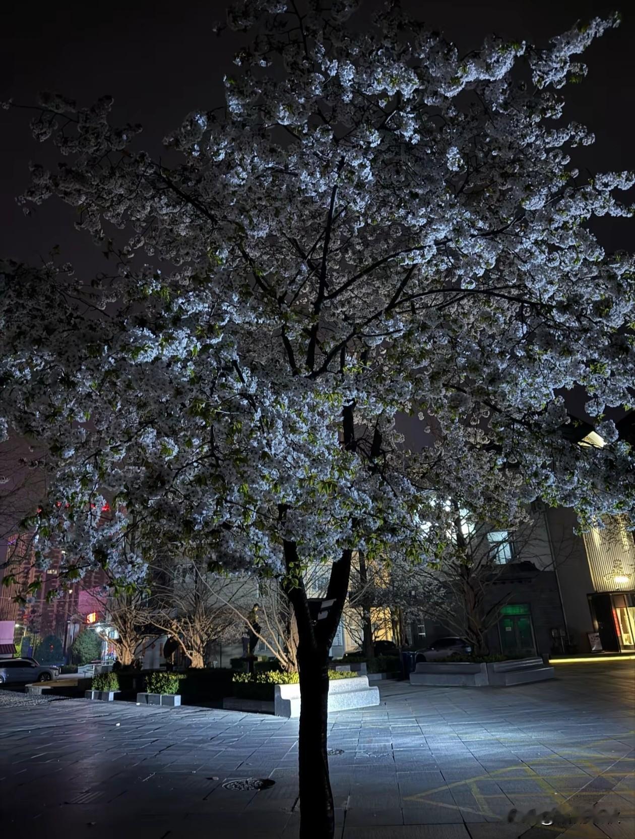 生活，一半烟火一半清欢。