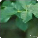 《好团圆》中的向南，她找了一个比较有钱的男朋友结婚，但实际上两个人的差距很大，并
