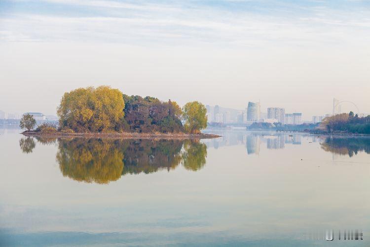 汀棠公园位于镜湖区九华中路45号，1984年建成，是全国首家农民集资兴办的现代化