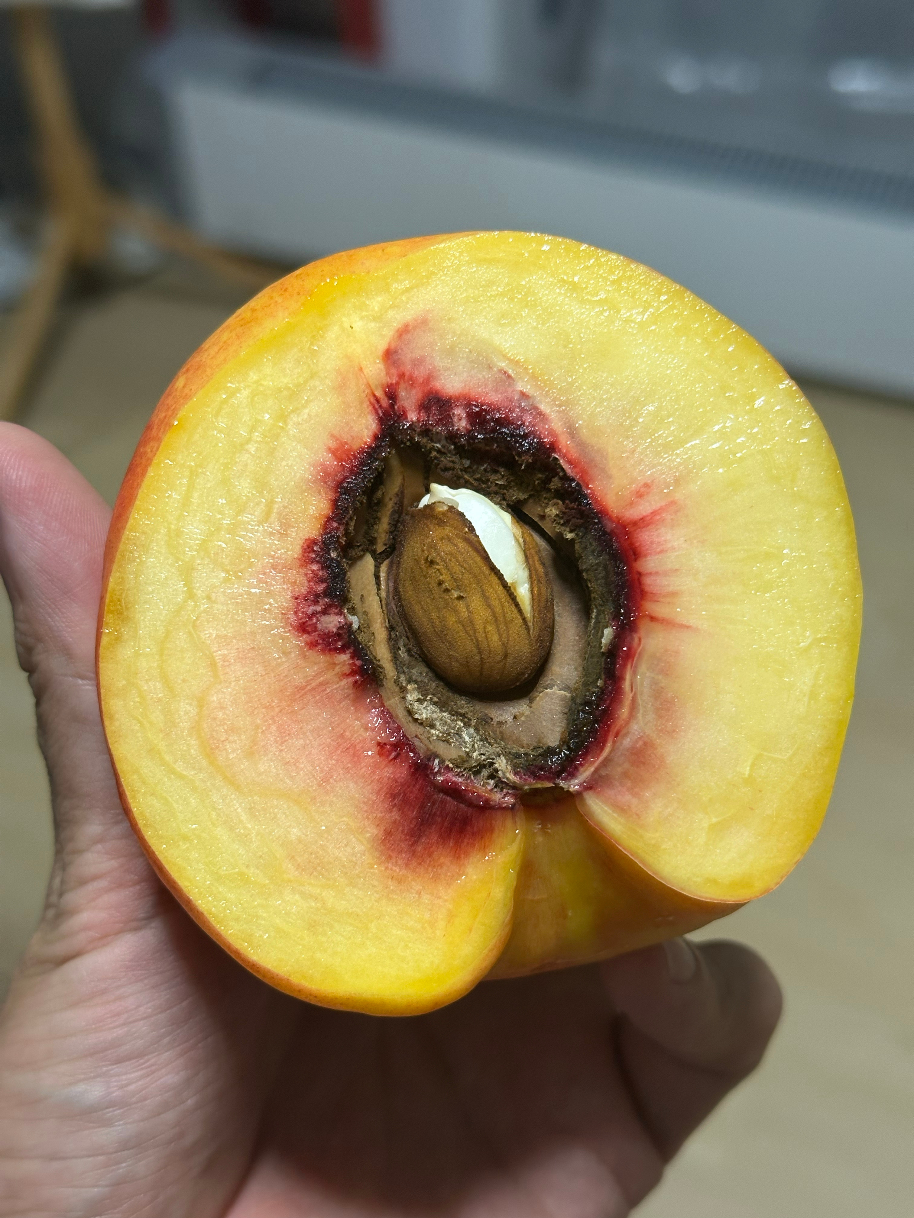 原来杏仁就是桃子核🙊 ​​​
