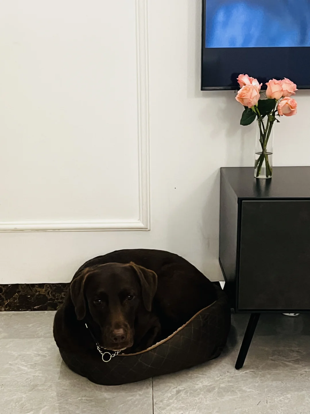 If it fits than it’s Mine我是Mini拉不拉