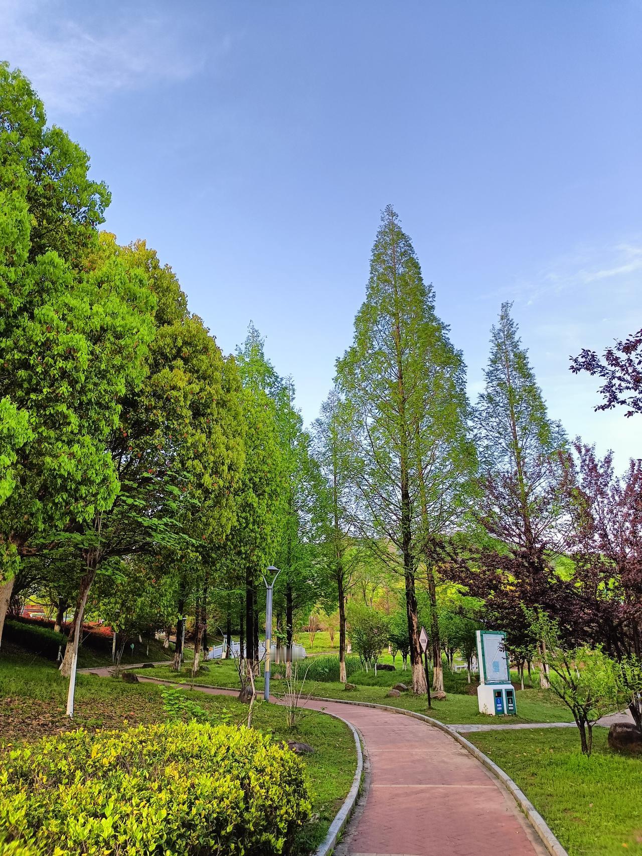 较真·计较
 
人生在世，总有些事值得较真，也有些事该学会计较——较真，是对本心