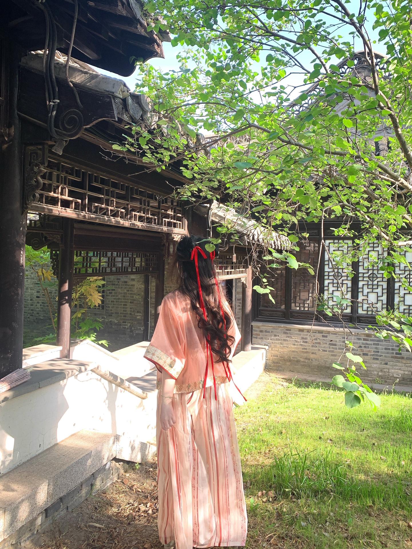 春光明媚。
