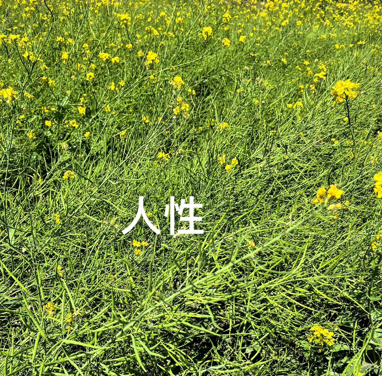 这事说复杂，还是不复杂。

复印机瘫痪，还是人有毛病。有时候真的不愿意叫真，前段