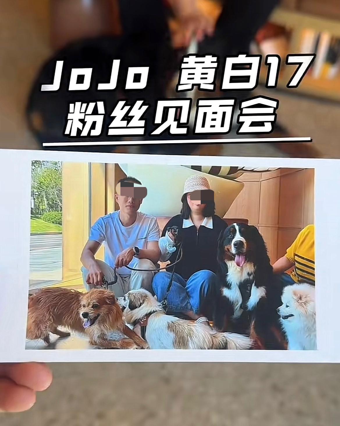 太暖心了！烟台莱山，身价5万的伯恩山犬啾啾，跟它的大哥们一起与粉丝见面了！现场四