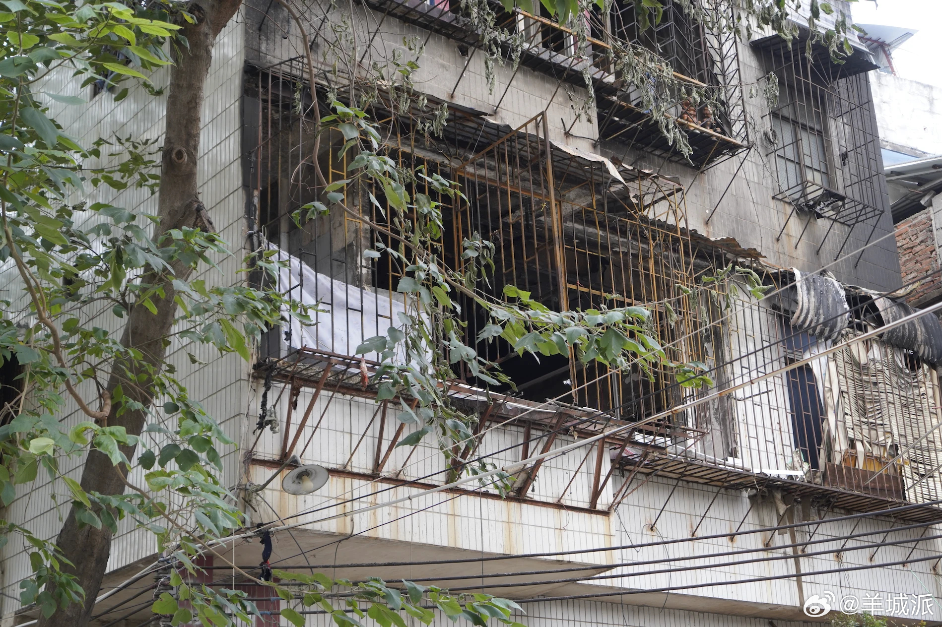 【广州一老旧民居起火，两名小伙见义勇为！消防点赞“教科书式”操作】“真的很感谢见