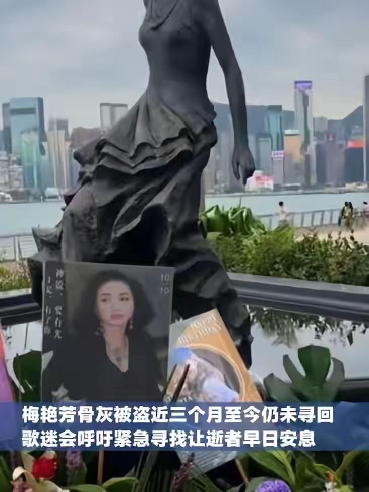梅妈都没了，他们偷了梅艳芳的骨灰，向谁要赎金呀。[发怒]
​意义何在啊？做人一点