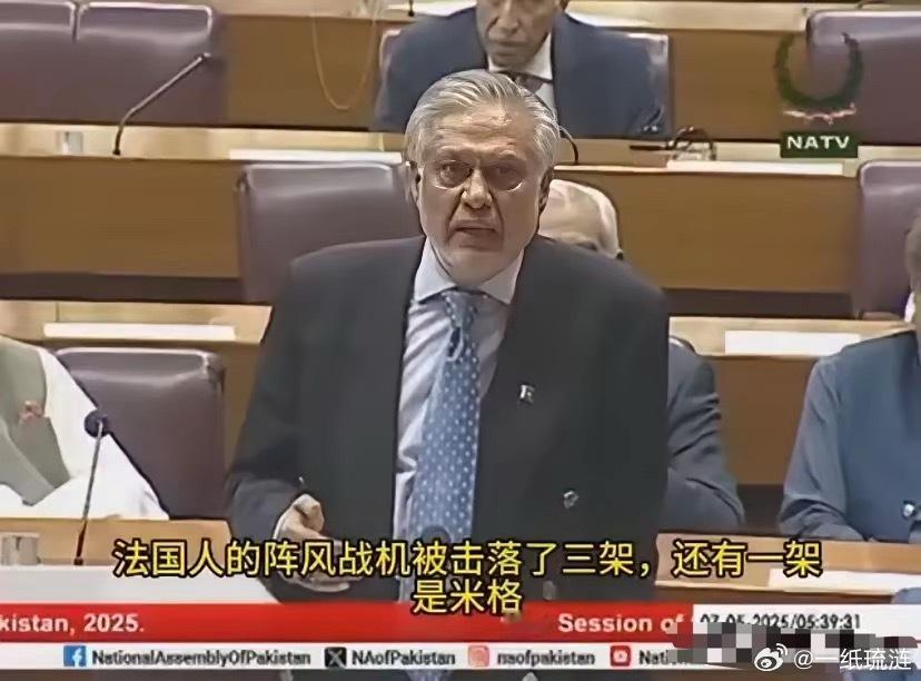 真是太凡尔赛了！巴基斯坦外长这话简直就是杀人诛心！​巴基斯坦外长伊沙克·达尔七日