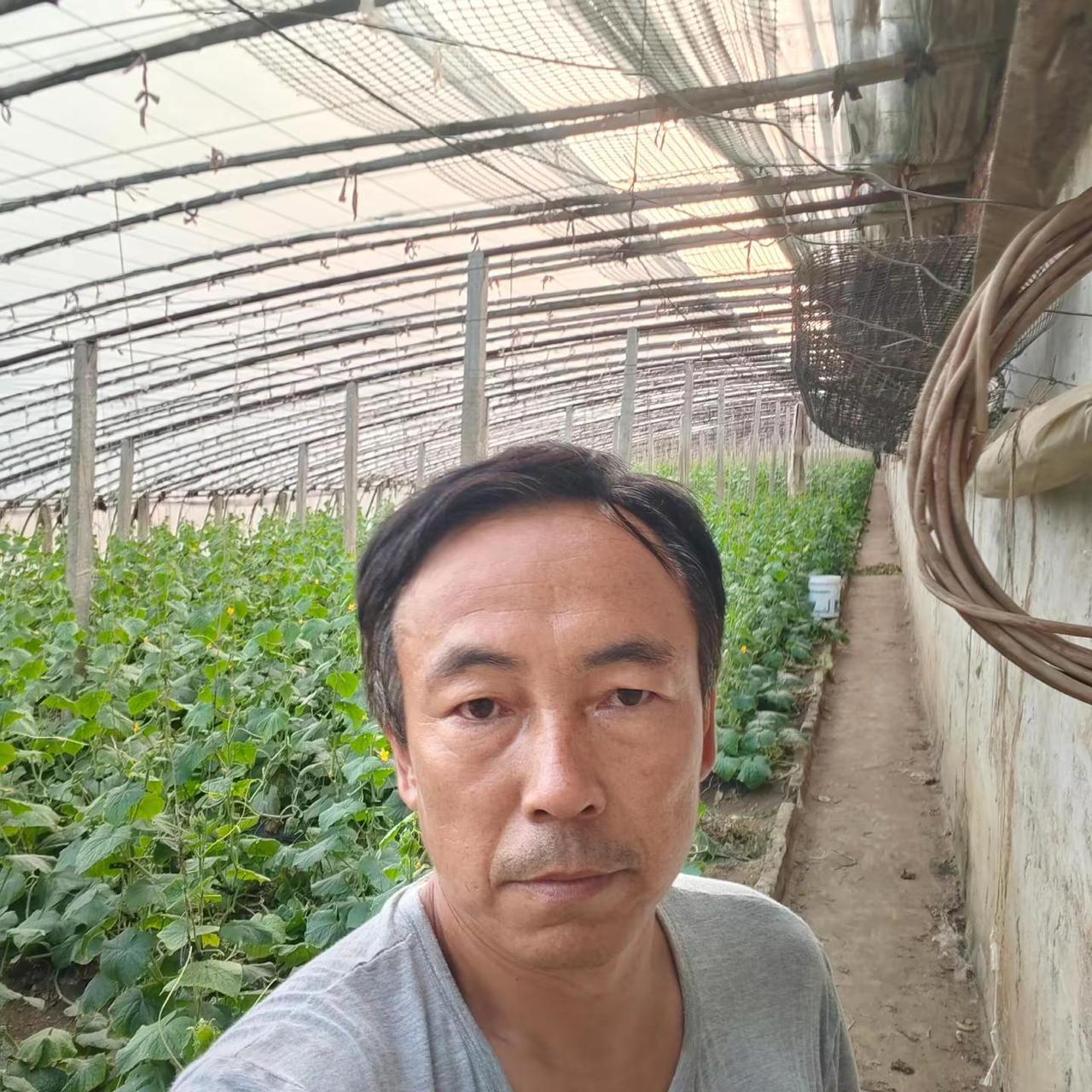 40几岁中年大叔回农村，若种不了地，你们说我回农村能干吗？搞农业不是那么容易的，