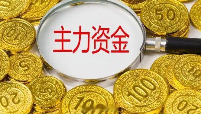 今日资金净流入前30个股1. 利欧股份， 13.53亿， +7.10%， 数字营