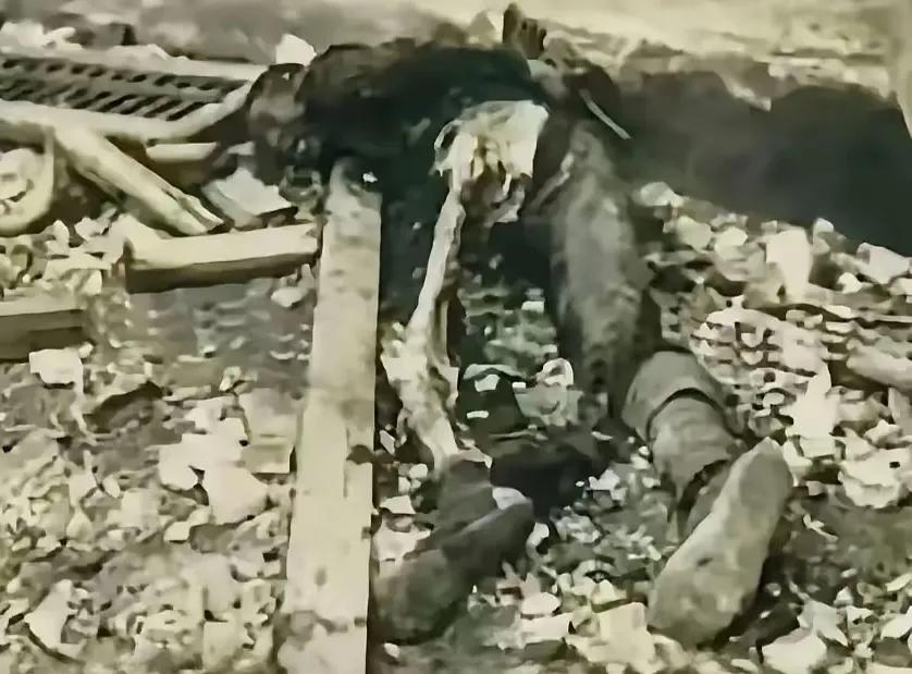 抗日战争时期，一名中国士兵被日本鬼子反绑双手，左腿的肉被残忍割光。冰冷的刀锋划过