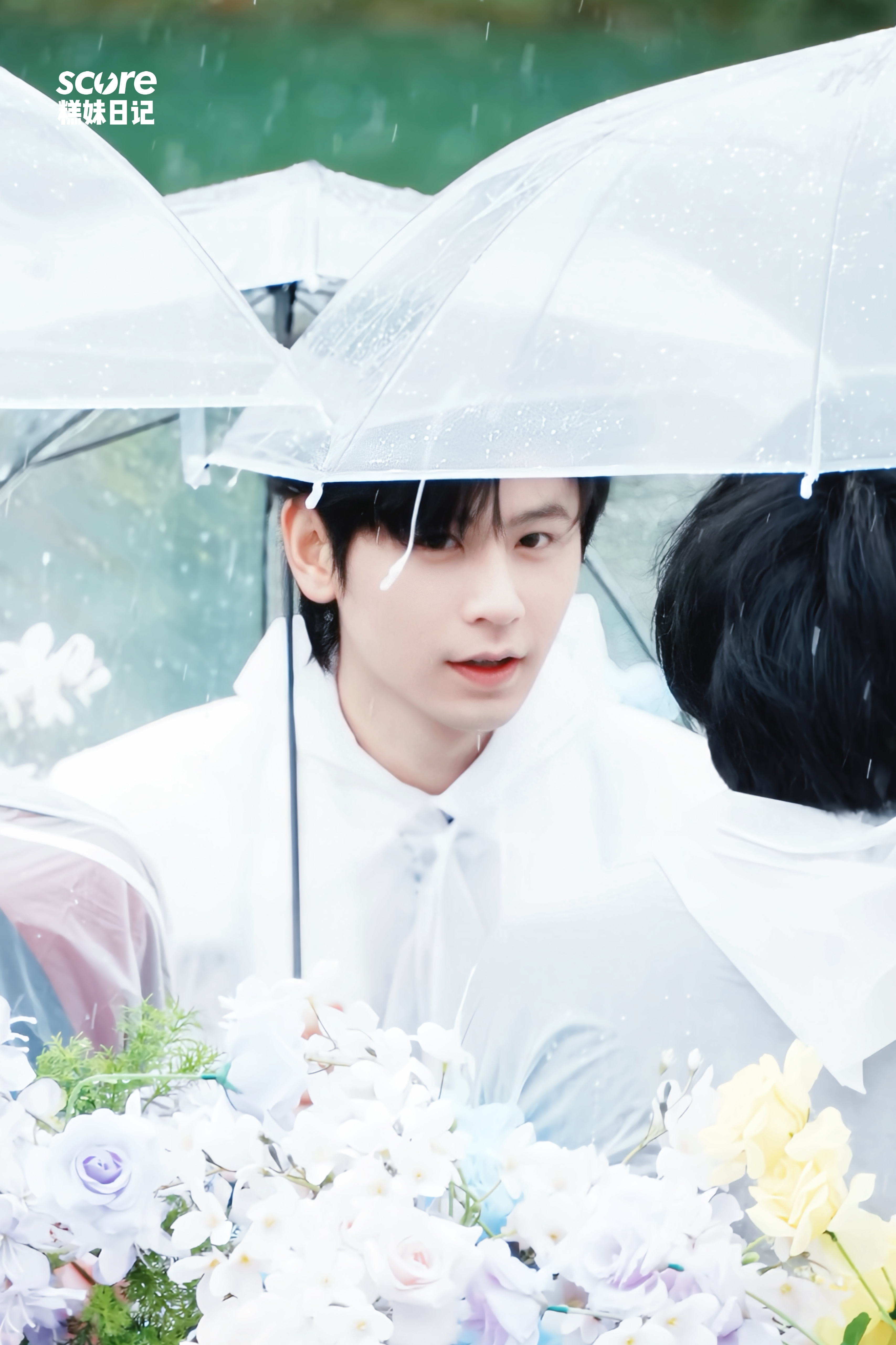 春水碧于天 画船听雨眠🍃2026kpl奇妙日
