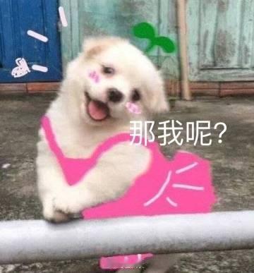 胡锡进称英语主科是教育公平关键项历史学科:我呢？ ​​​