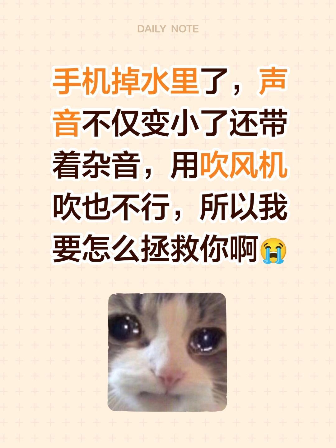 手机进水怎么办😭😭。手机掉水里了，声音不仅变小了还带着杂音，用吹风...