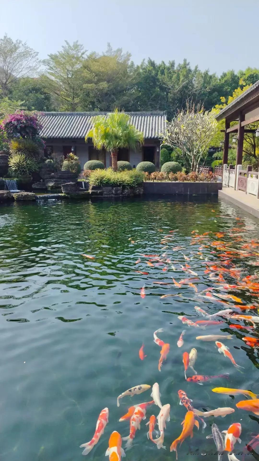 冬日生活分享暖阳之下，我们一起走过的日子