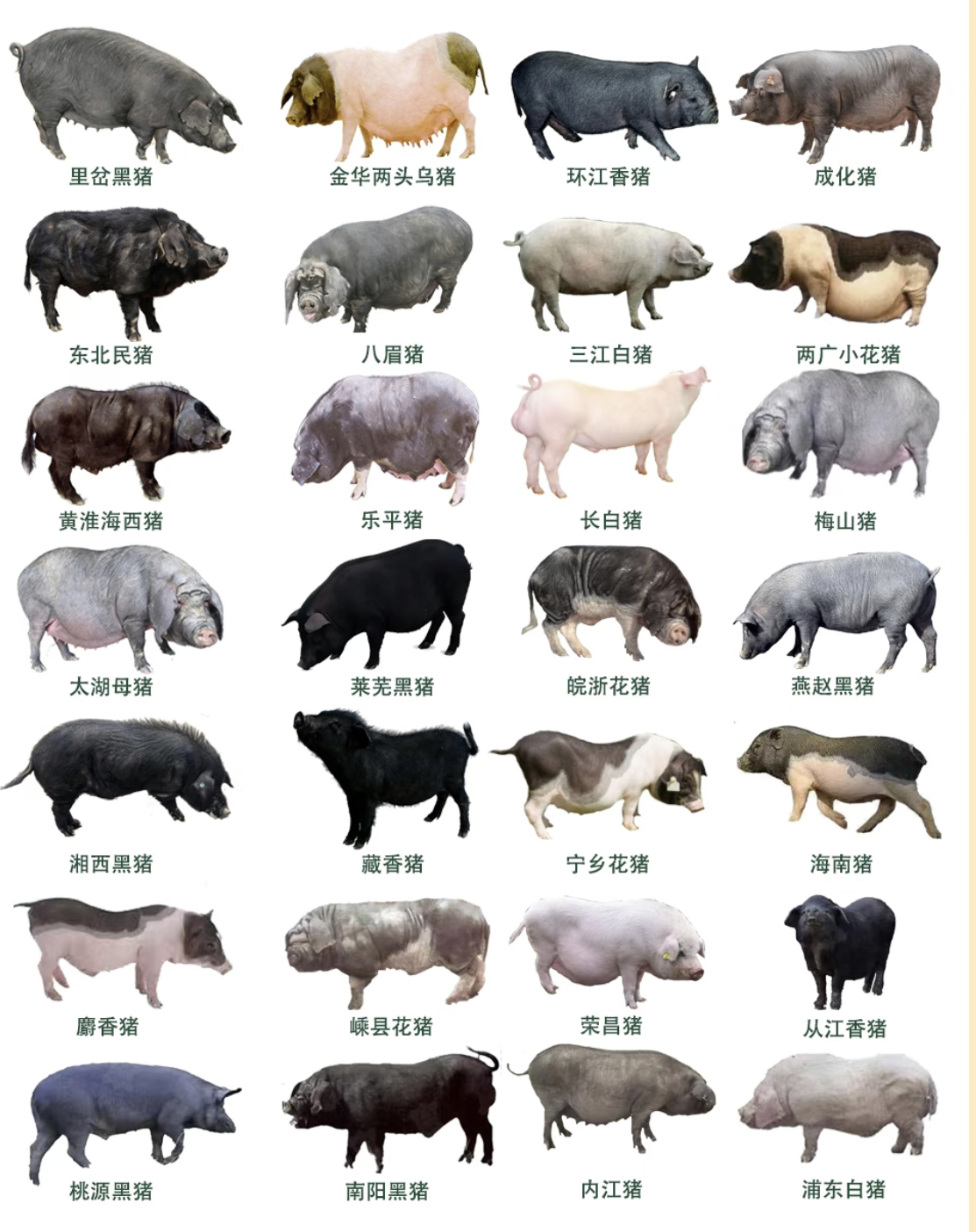 谁能从下面找到允汁 