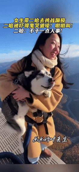 带二哈蹦极？这狗都要喊出“杀狗啦”了
 
一位小姐姐突发奇想，要带自家二哈挑战蹦