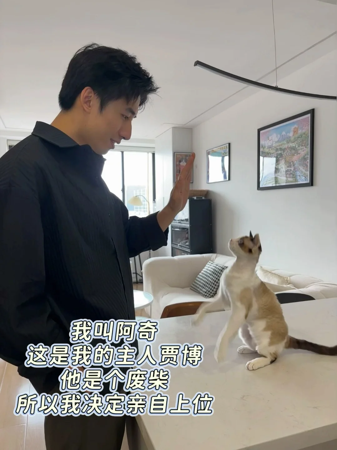 救命！我家猫准备踢开我上位了！