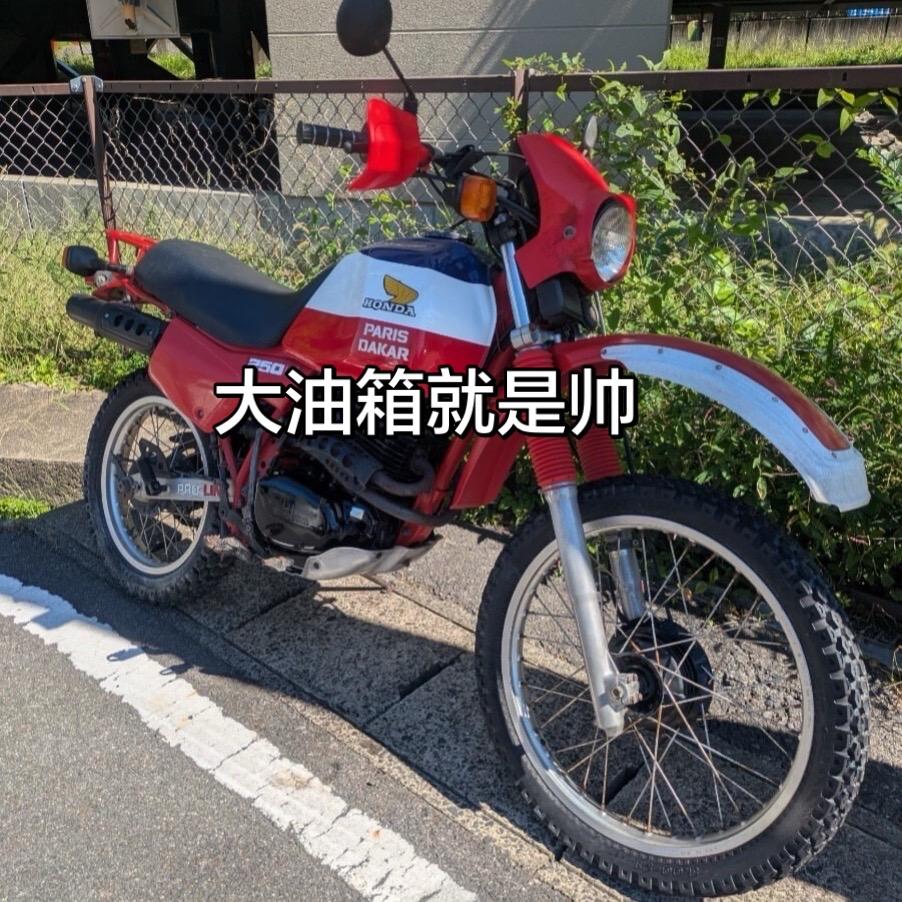 本田达喀尔版越野摩托车太帅了。就喜欢大的油箱拉力摩托车 越野摩托车