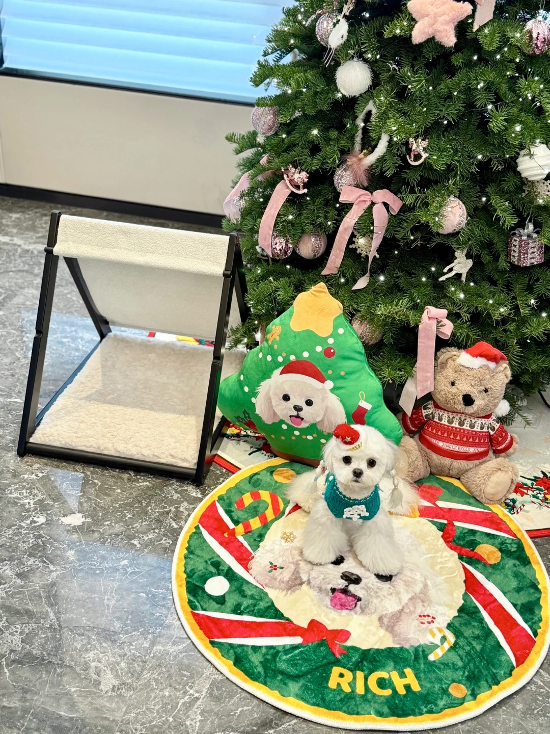 一岁小狗的第121个窝窝！