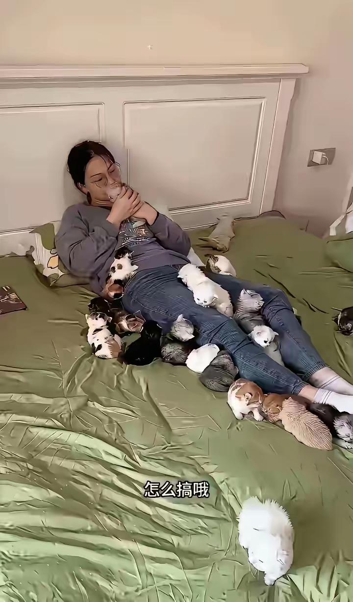 “全家愁的睡不着！”一位网友发帖求助，家里89年的侄女，顶着985博士光环，在科