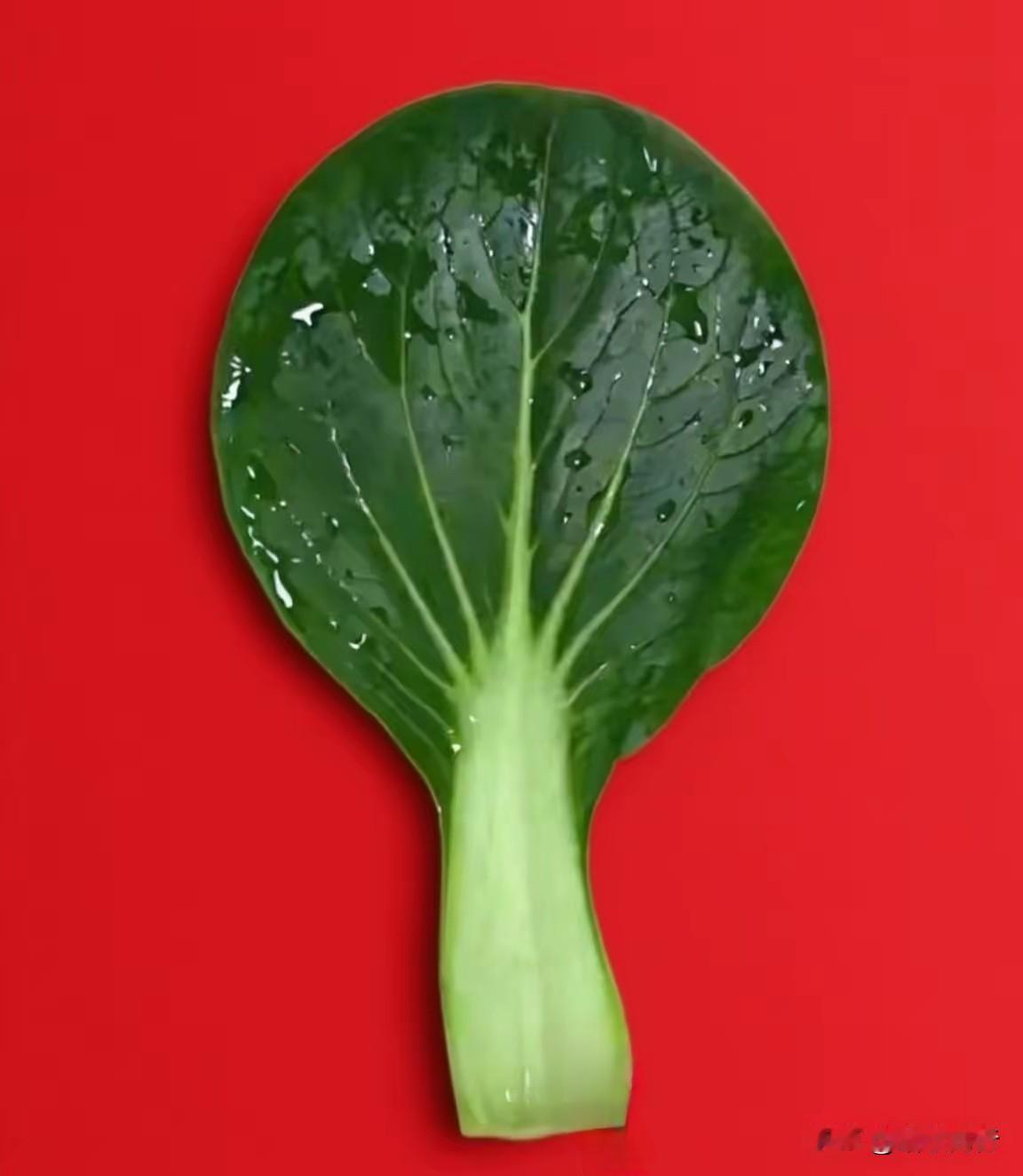 是这个青菜🥬火了吗？谁知道这是什么梗？青菜 火遍全网的热议