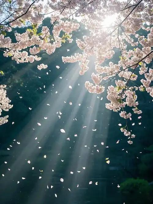 上联：柳絮飘飞，试问春归何处；
下联：桃红遍地，可知花落谁家？