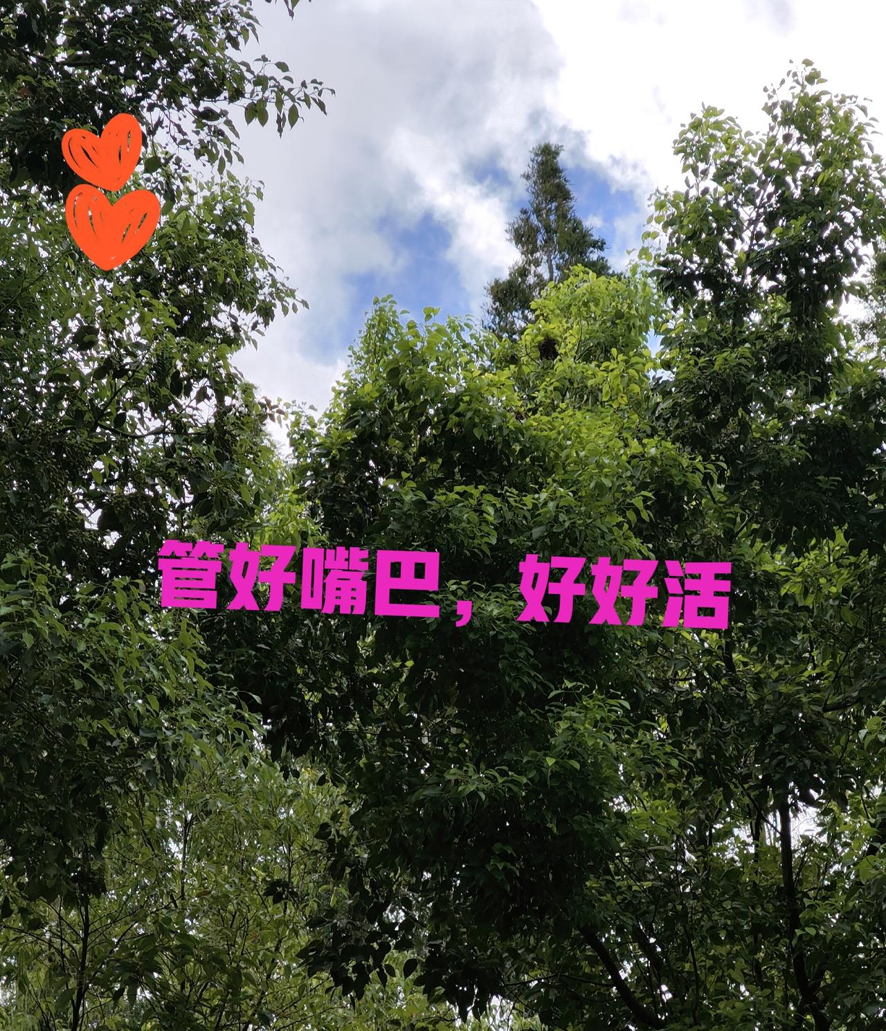 🚨想多活，远离这六个坑

🌿隔夜的绿叶菜、
🌿起酥面包🍞
式脂肪酸
🌿