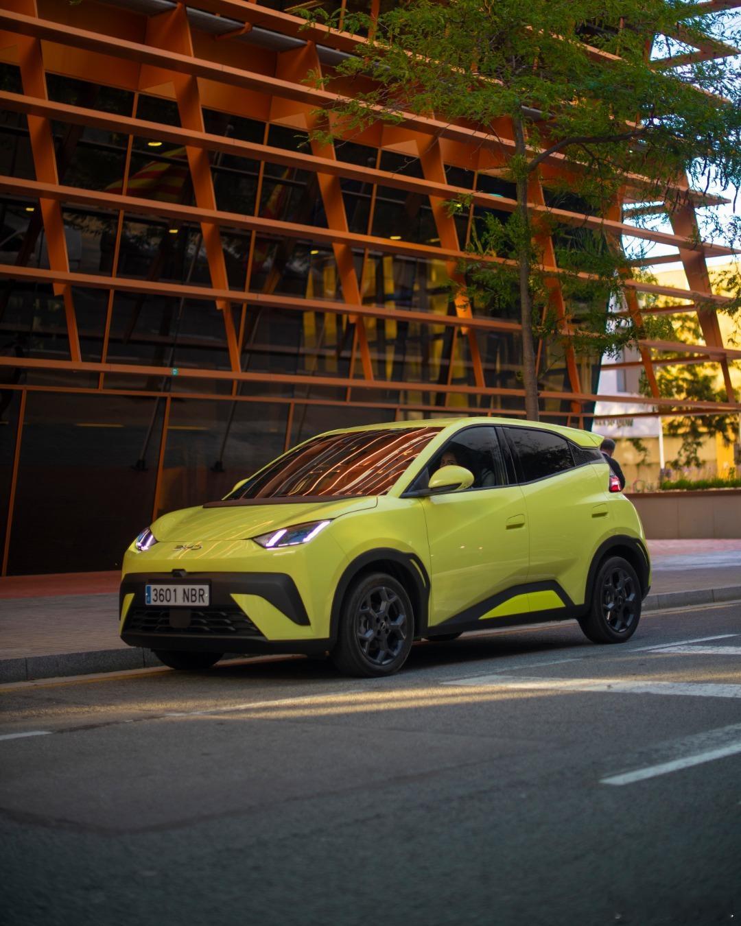 比亚迪海鸥，11月出口36065辆！海鸥1-11月累计出口156812辆。 