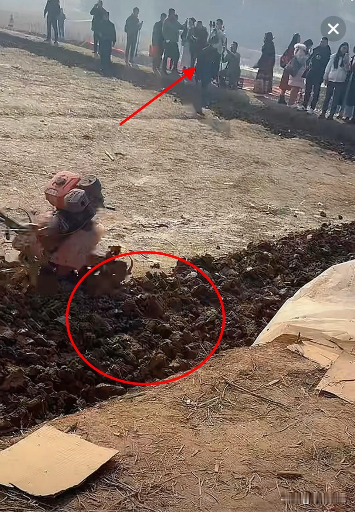 呆呆家地里那机器轰隆隆响，

这回是真动工了。

大家别想岔了，人家不是要起高楼