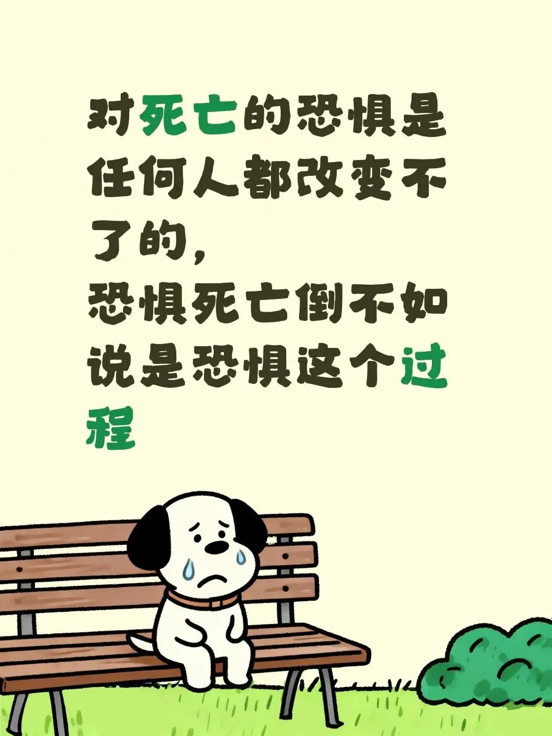 对死亡的恐惧是任何人都改变不了的， 恐惧死亡倒不如说是恐惧这个过程