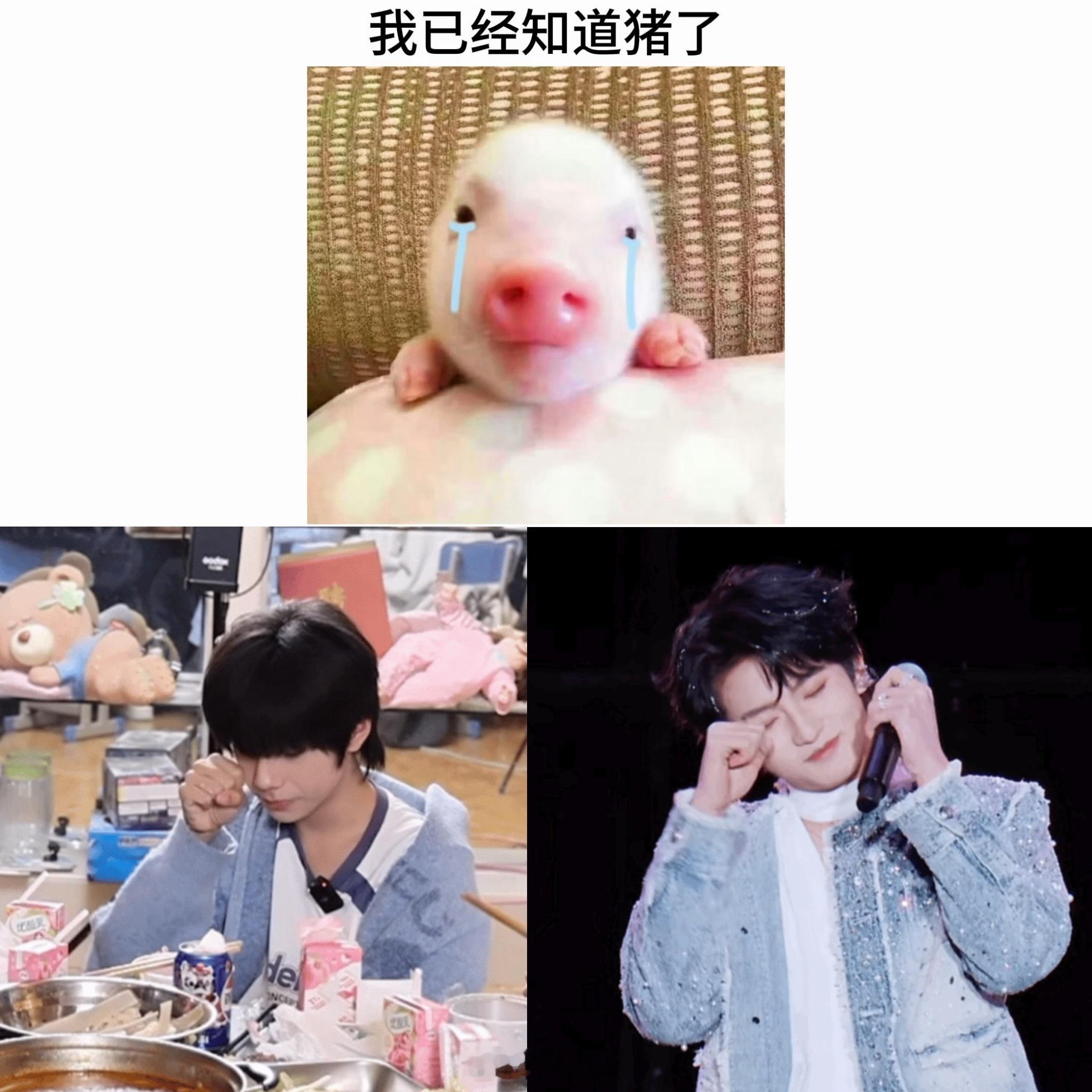 好猪的颜文字 