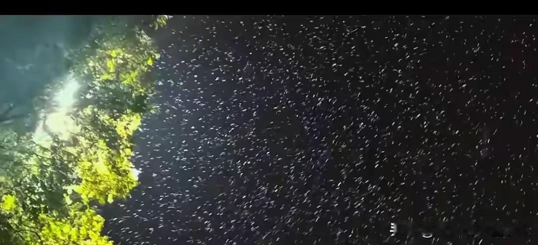 结束了兰州的培训之旅，有友友说我的互动量少了，没人浏览了，没人点评了，这是为什么