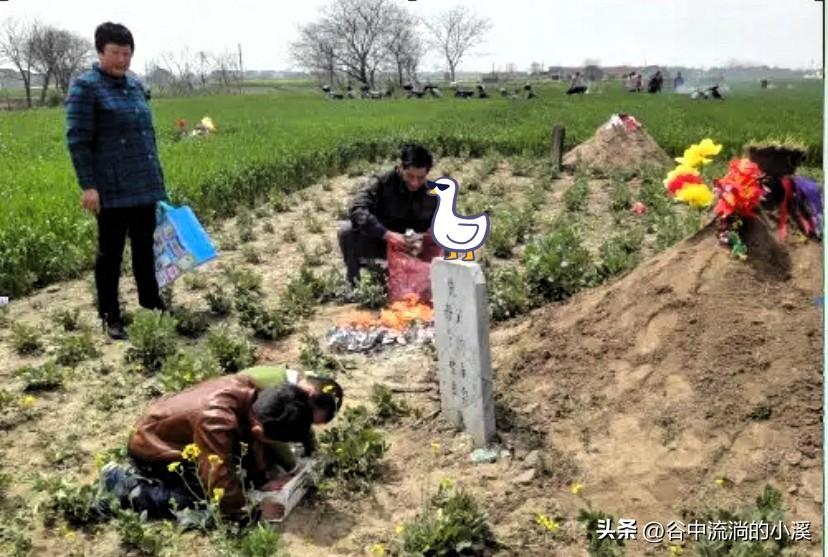 清明祭祖别乱来！
老辈传的8条顺序，
一步都不能错！

清明临近，上坟祭祖是家家