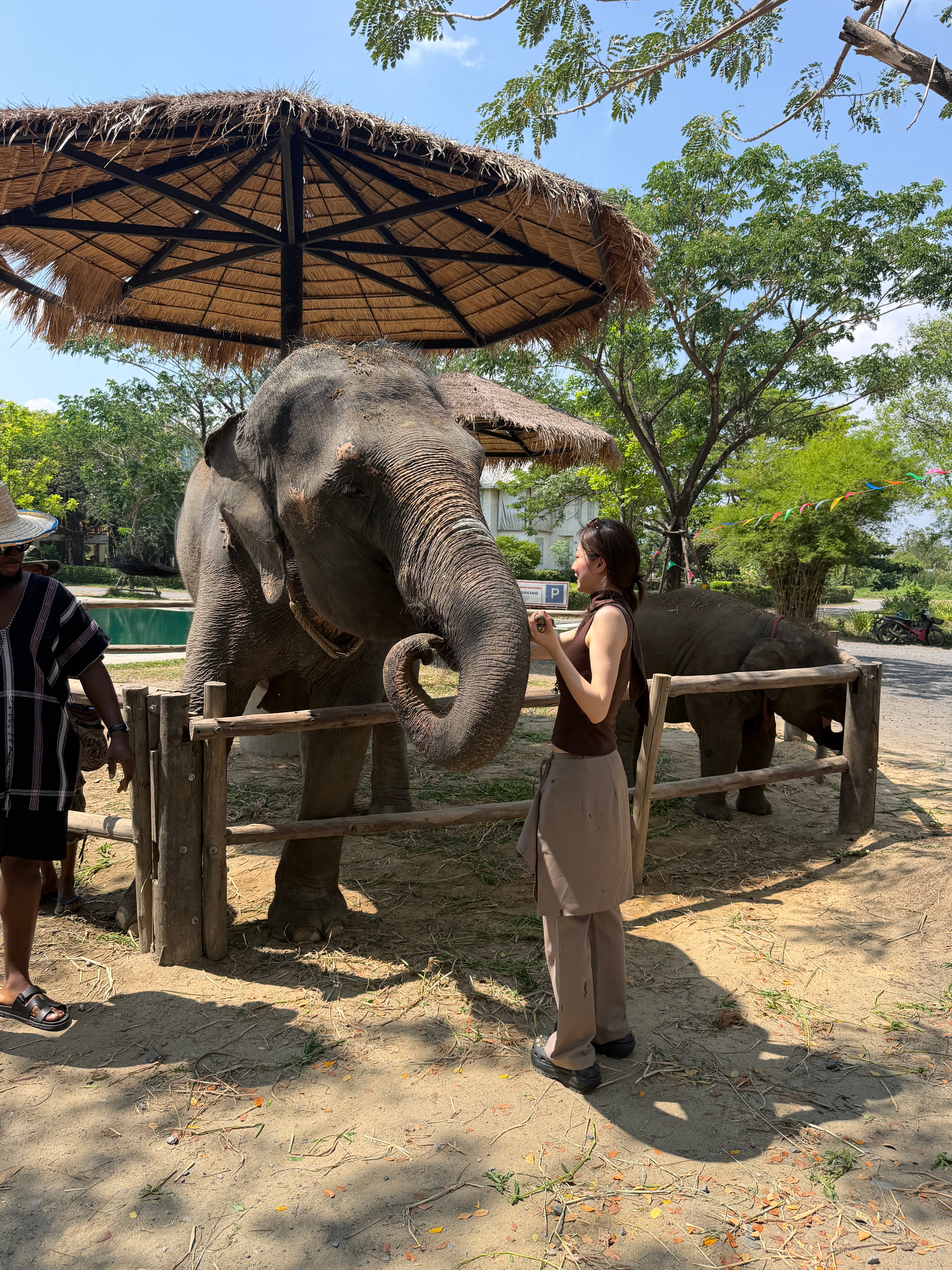 𝑩𝑨𝑵𝑮𝑲𝑶𝑲曼谷 Just ele-FUN🐘‧⁺ 泰国·Ban