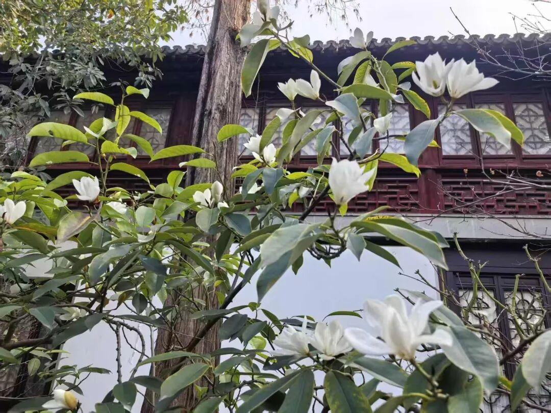 中小学取消重点班对学生有何好处对学生其实没有好处，有的不学习的小朋友，他只坐在那