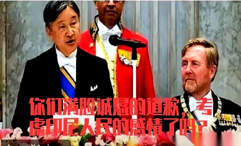 日本天皇向荷兰道歉了，西装革履，态度诚恳。乍一看，这认错的姿态挺像那么回事。但只