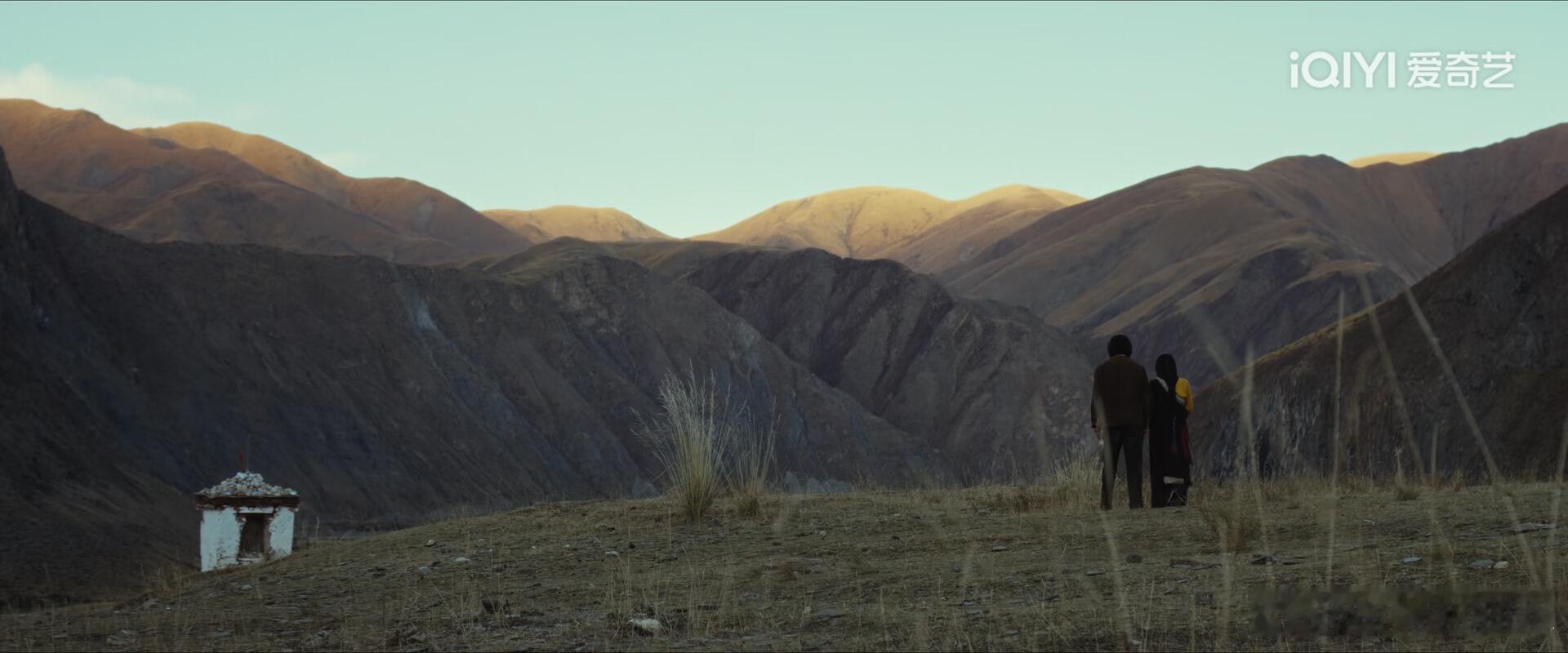 愿生命树常青 大地常青生命树的树是人心中的一棵树是浇灌了无数“多杰”的汗水泪水鲜