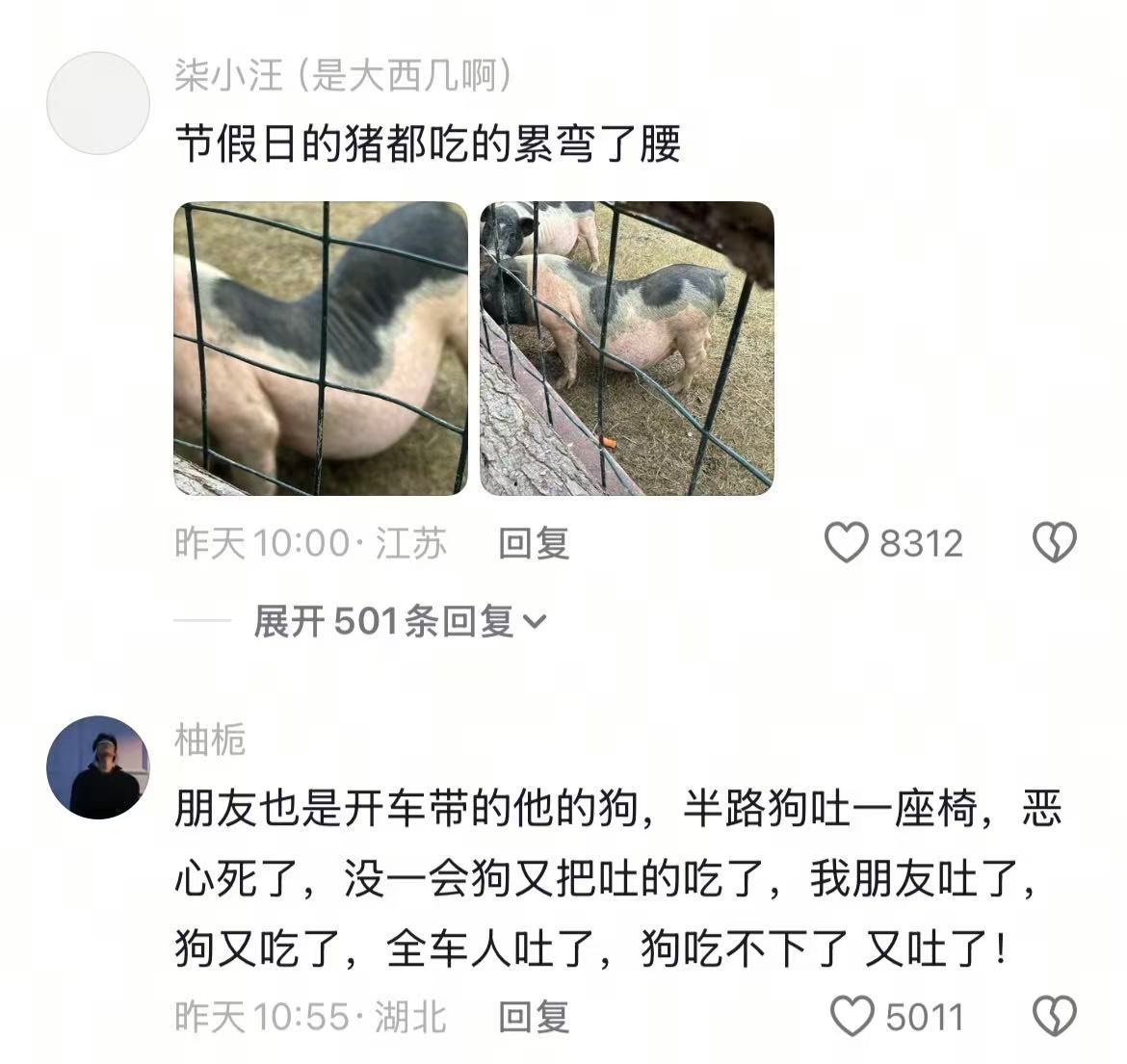 再喜欢的事一旦成了工作...果然还是牛马最能共情牛马 