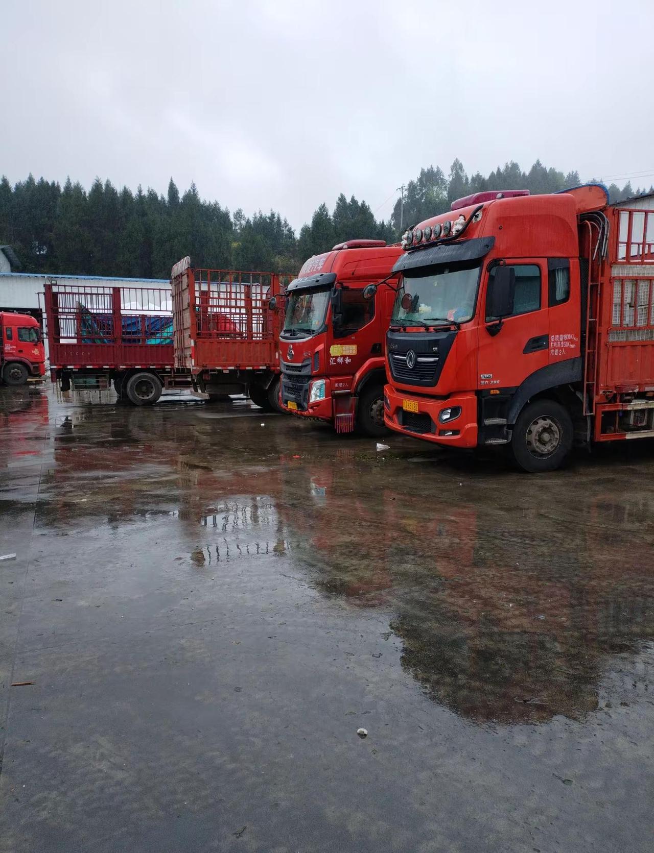 下雨天冷也得干哟，冒雨前行，风雨无阻，为了职责担当