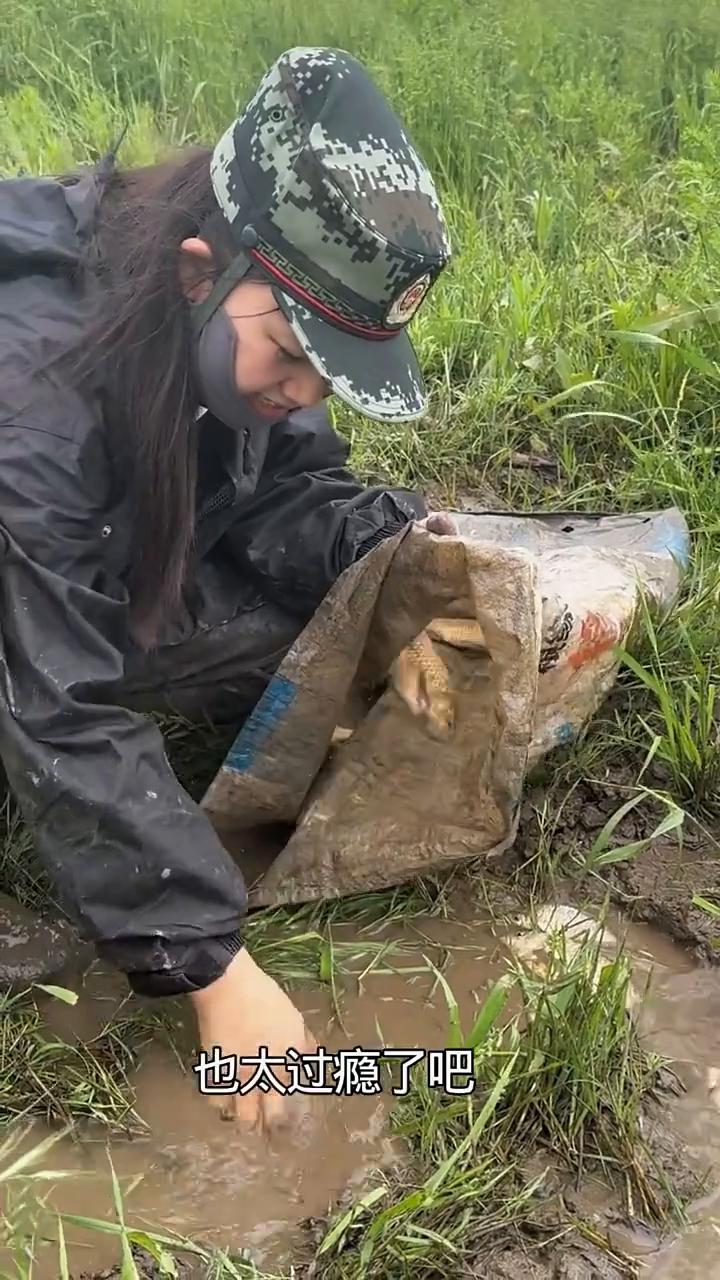这鱼抓不完。
看这鱼，太小，看我刚抓的，在这抓的，贵吧？贵。家人们，这用手抓鱼也