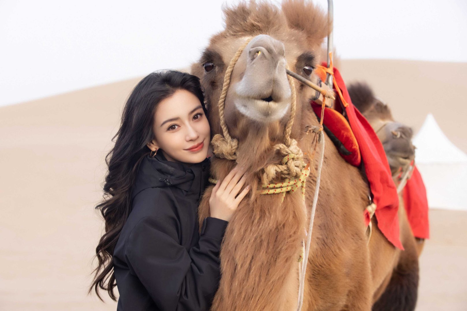 angelababy angelababy  跨越山海奔赴一场双向奔赴，你的坚持